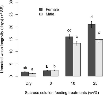 Provision of carbohydrate resources to support Apanteles polychrosidis, to increase parasitism of Caloptilia fraxinella in horticultural ash trees